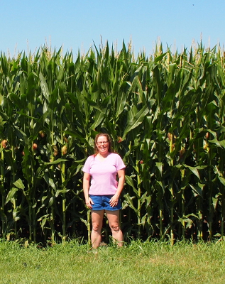 [The tops of the corn stalks are at least 8 foot high and dwarf me standing in front of them.]